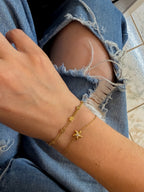 Starfish Set