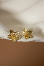 Cibeles earrings (GF)