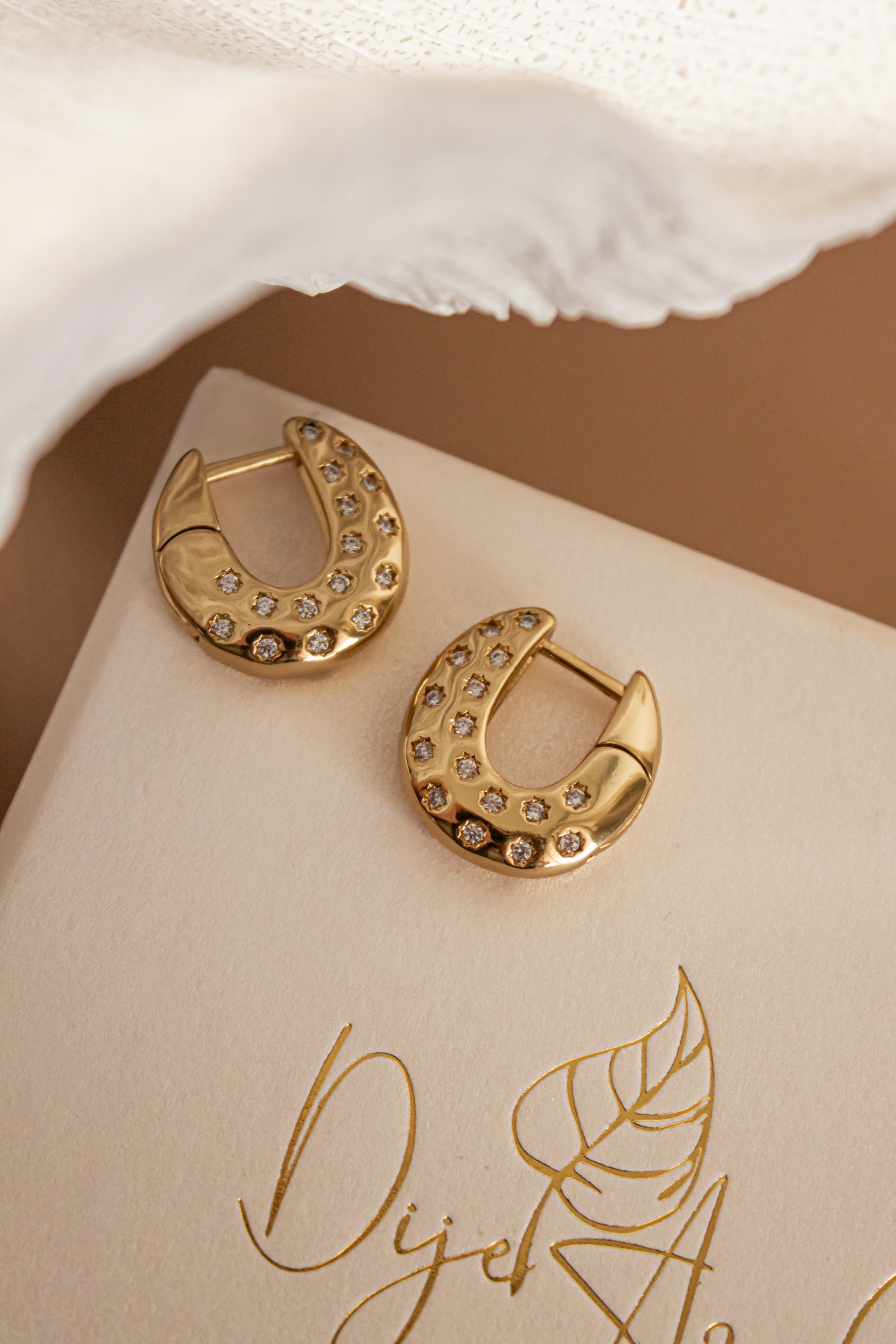 Nix earrings (GF)