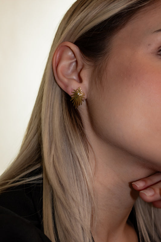 Tique earrings (GF)