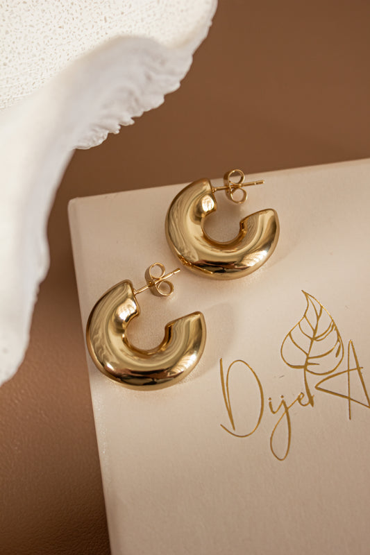 Rea earrings (GF)
