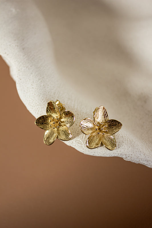 Cibeles earrings (GF)