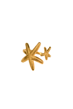 Starfish ring