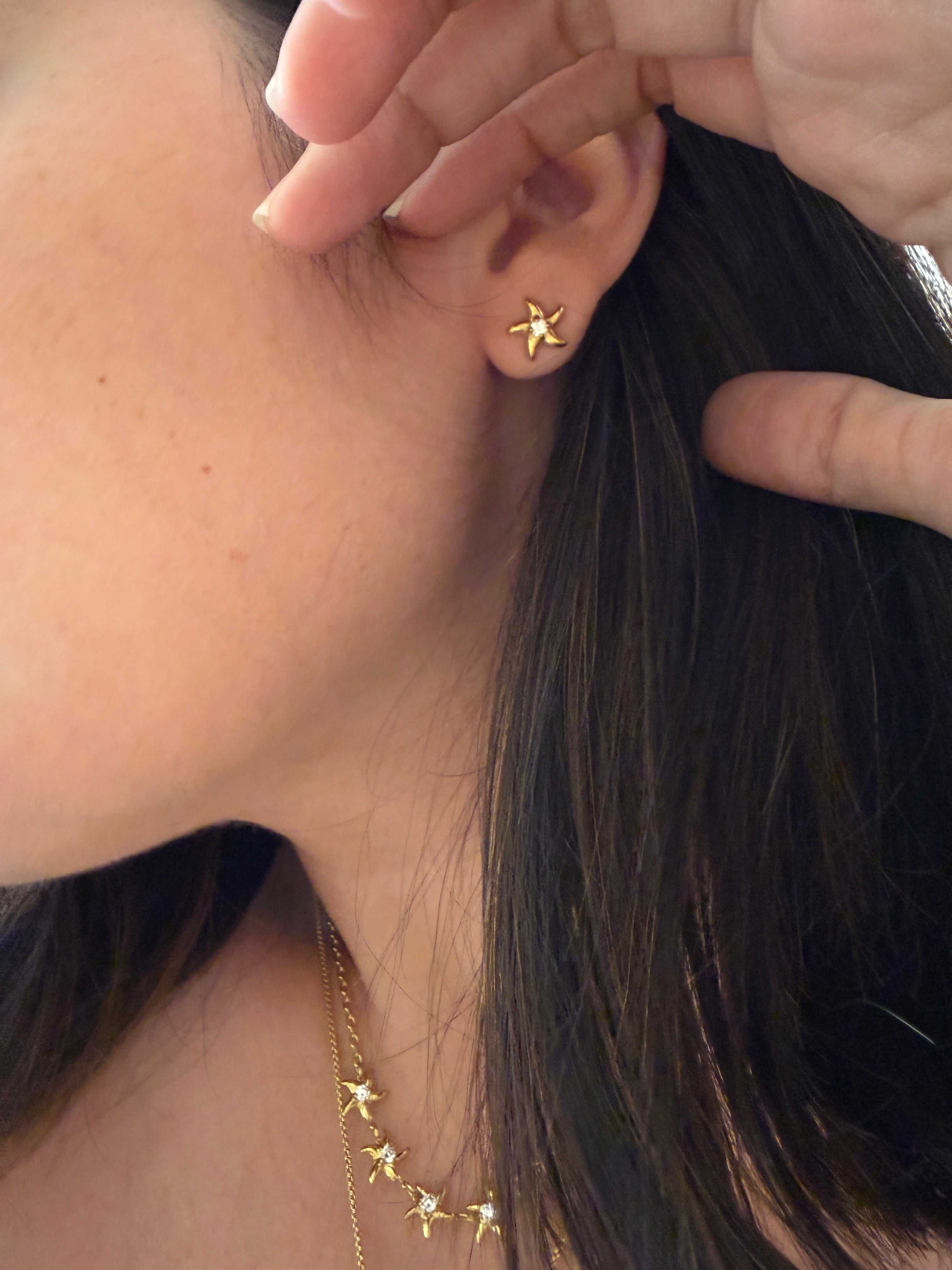 Starfish Set