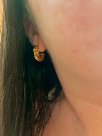 Caracola earrings