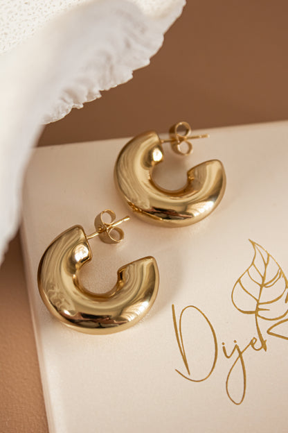 Rea earrings (GF)