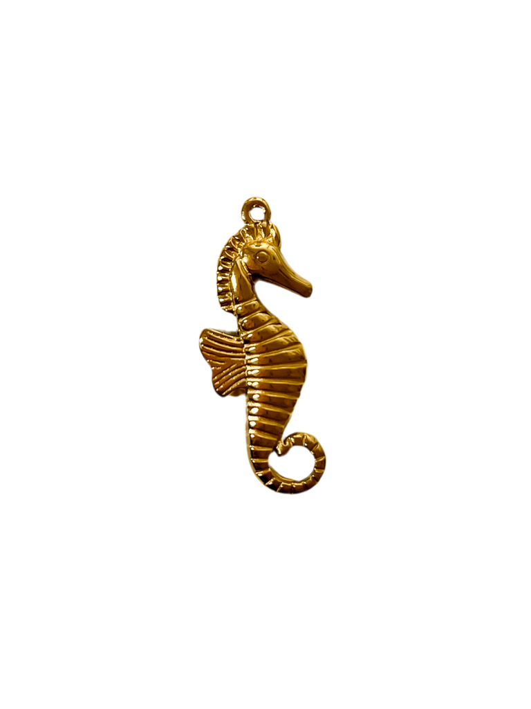 Seahorse