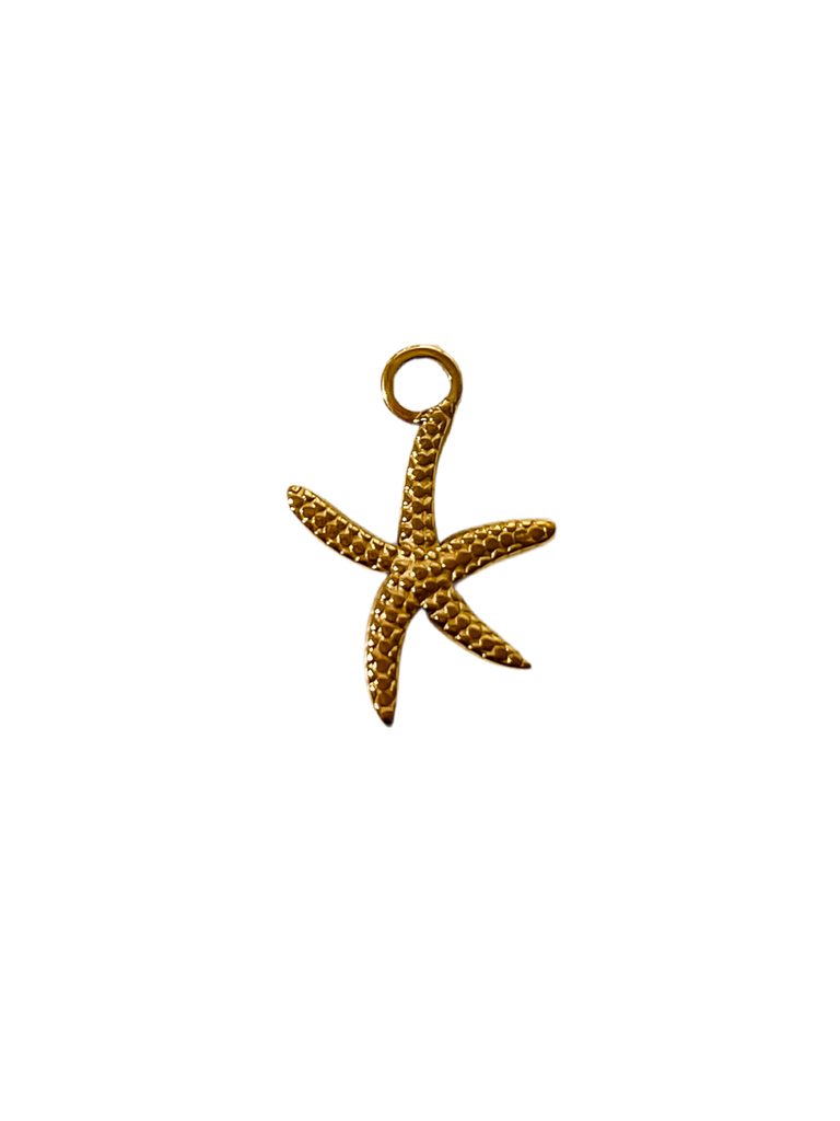 Estrella de Mar