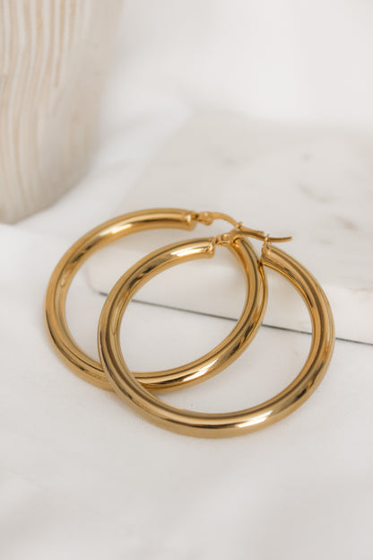 Chunky hoops earrings