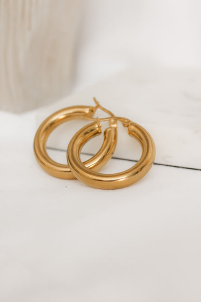 Chunky hoops earrings