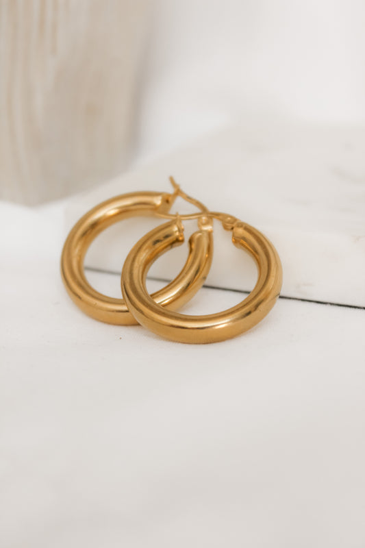 Chunky hoops earrings